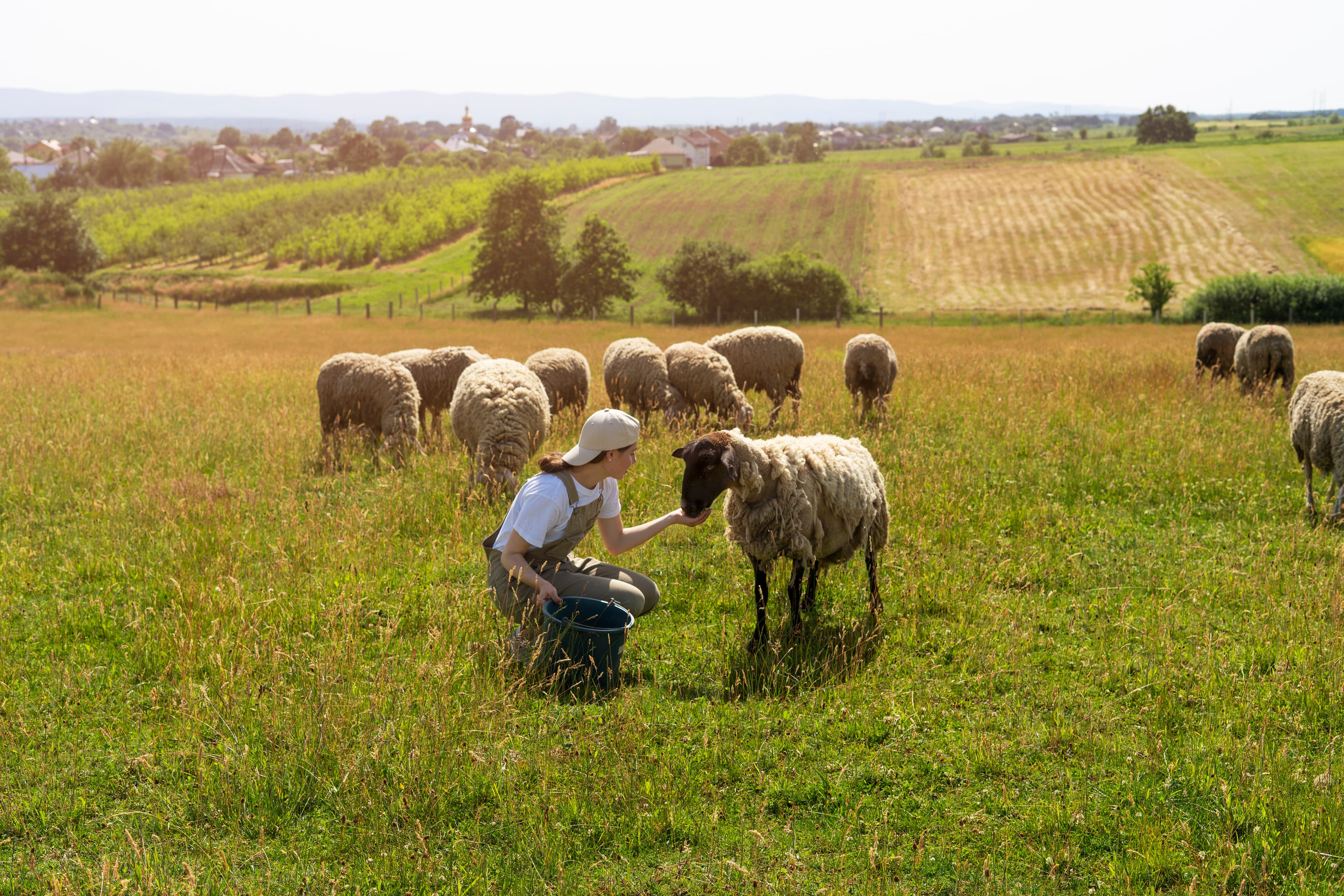 Integrated Farms